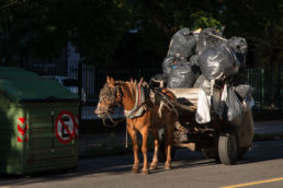 Die Müllabfuhr in Montevideo